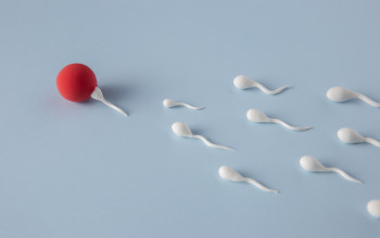 Andrologist and fertility expert